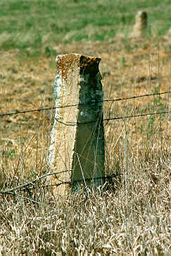 Quarried Limestone fence post image